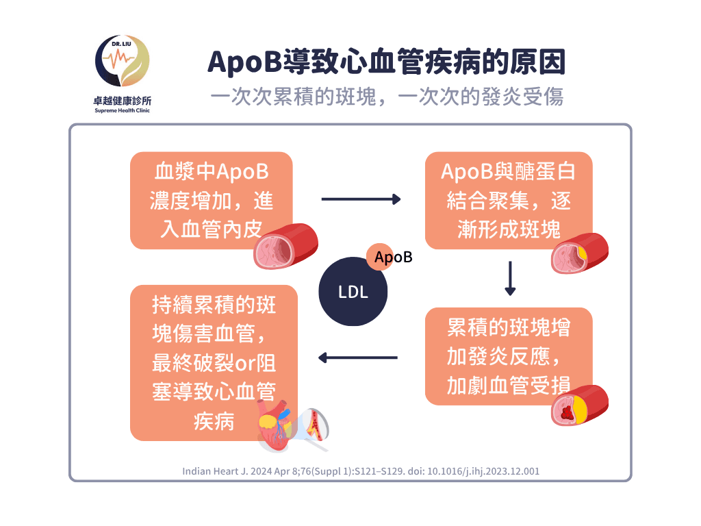lpa, 心血管疾病,stroke ,CVD ,血栓 ,LDL ,功能醫學 ,心血管 ,高血脂 ,中風 ,卓越健康診所 ,劉士銘醫師 ,劉士銘, 功能醫學 , Functionalmedcine, IFM, 血栓, apoa, apo, hdl, 好的膽固醇, 壞的膽固醇, 好膽固醇, 壞膽固醇, 抗氧化, 抗發炎, cholesterol, 膽固醇, inflammation, antiimflammation, dysfunction, oxLDL, sdLDL, apob