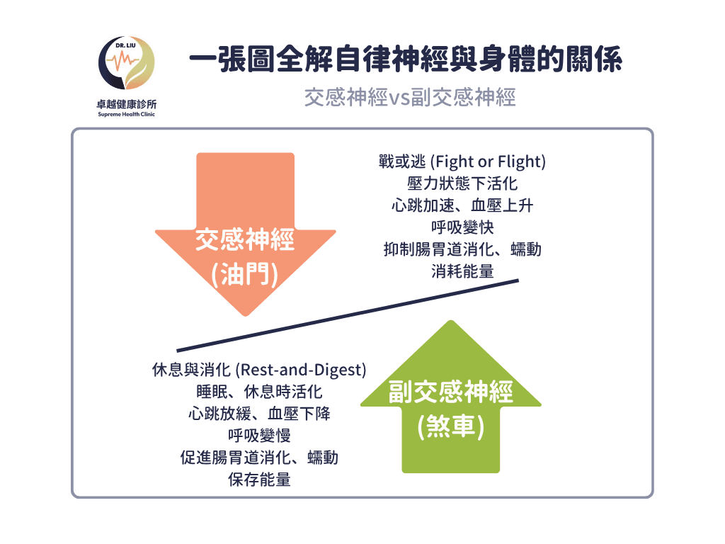 lpa, 心血管疾病,stroke ,CVD ,血栓 ,LDL ,功能醫學 ,心血管 ,高血脂 ,中風 ,卓越健康診所 ,劉士銘醫師 ,劉士銘, 功能醫學 , Functionalmedcine, IFM, 血栓, apoa, apo, hdl, 好的膽固醇, 壞的膽固醇, 好膽固醇, 壞膽固醇, 抗氧化, 抗發炎, cholesterol, 膽固醇, inflammation, antiimflammation, dysfunction, oxLDL, sdLDL, apob, cancer, sleep, Autonomicnervoussystem, ANS, Sympatheticnerves, parasympatheticnervoussystem